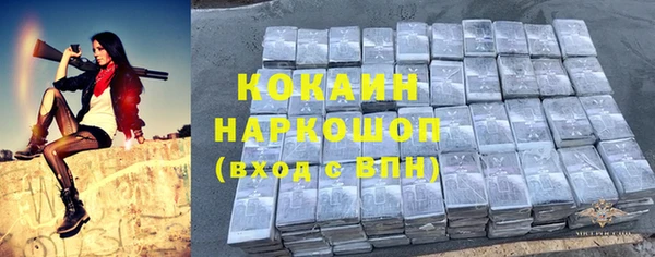 МДПВ Алексин