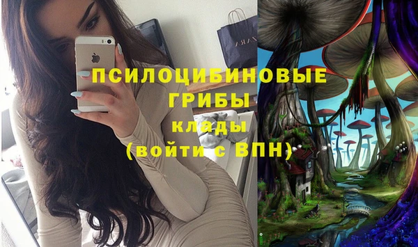 кокс Алзамай